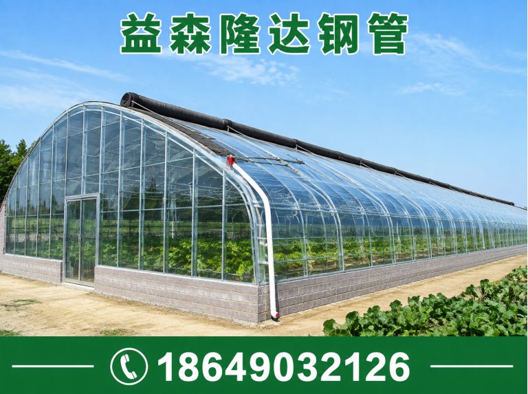 天津日光温室大棚,连栋温室大棚,单体大棚,塑料大棚,育苗大棚,养殖大棚展示图